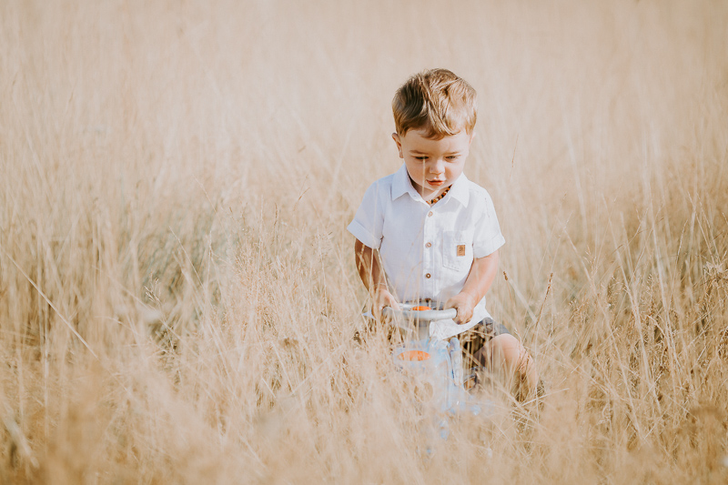 2020 08 03 09h16 001